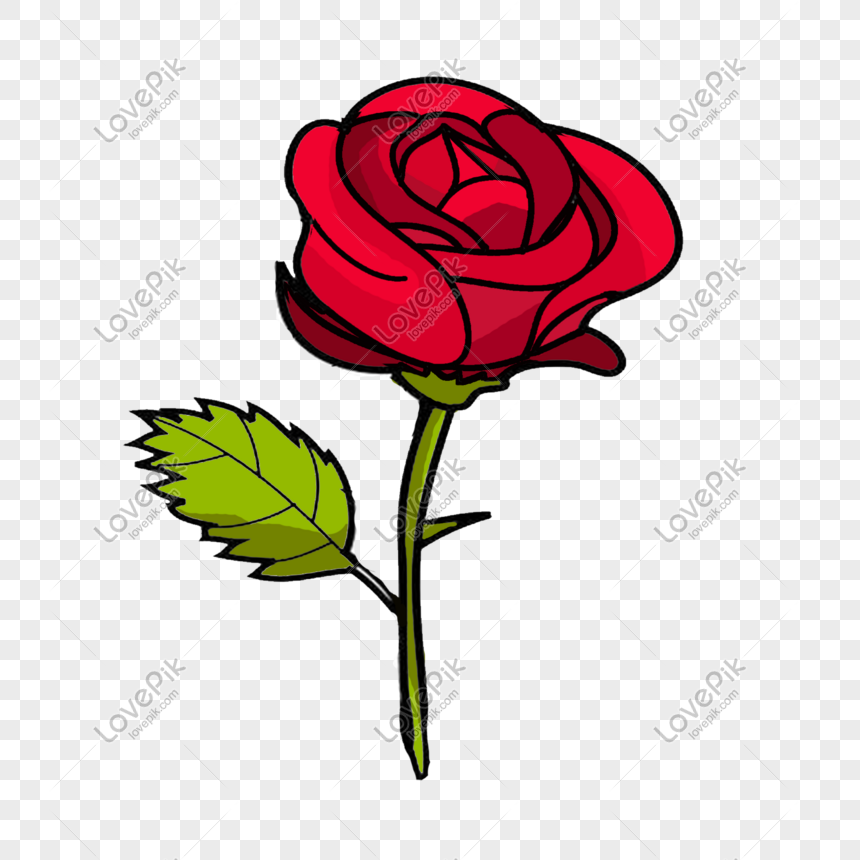 Detail Contoh Gambar Bunga Mawar Merah Nomer 9