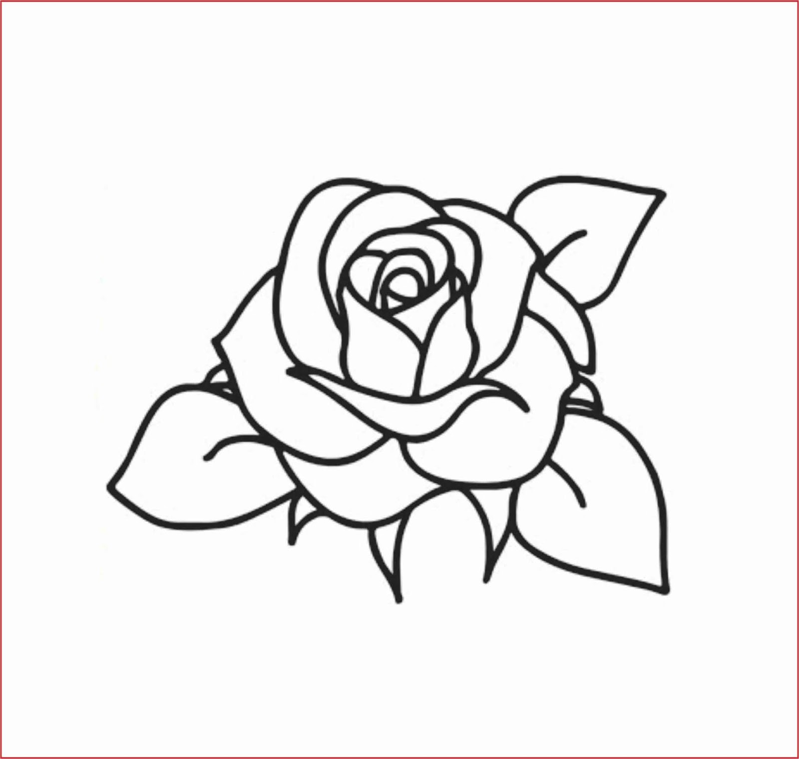 Download Contoh Gambar Bunga Mawar Sederhana Nomer 2
