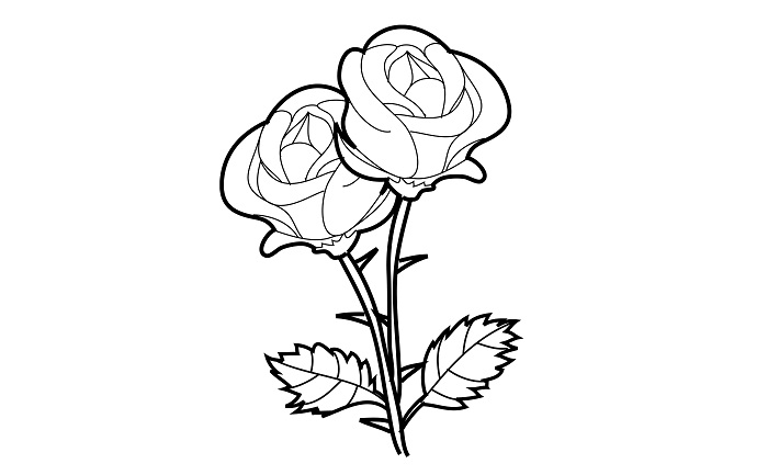 Detail Contoh Gambar Bunga Mawar Sederhana Nomer 13