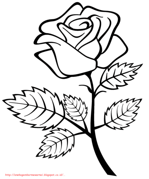 Contoh Gambar Bunga Mawar Yang Mudah - KibrisPDR