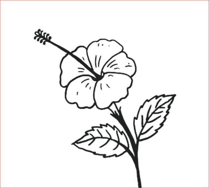 Detail Contoh Gambar Bunga Mudah Digambar Nomer 35