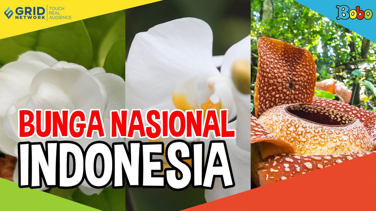 Detail Contoh Gambar Bunga Nasional Nomer 39