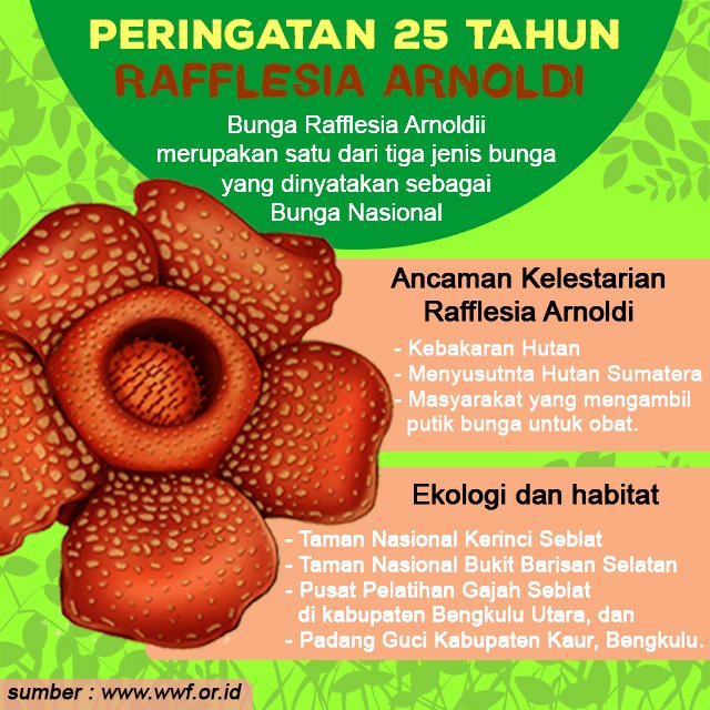 Detail Contoh Gambar Bunga Nasional Nomer 43