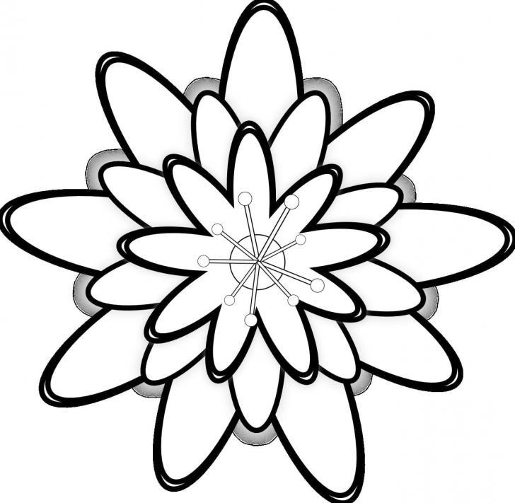 Detail Contoh Gambar Bunga Putih Nomer 49