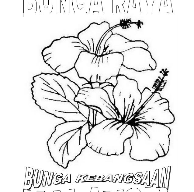 Detail Contoh Gambar Bunga Raya Nomer 17