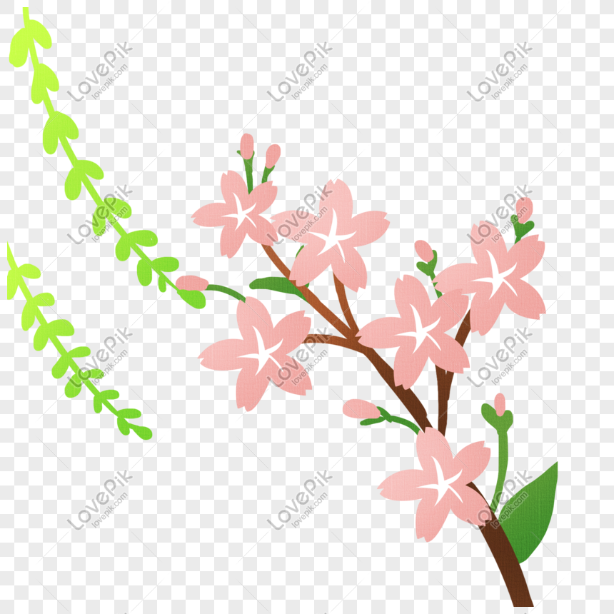 Detail Contoh Gambar Bunga Sakura Nomer 31