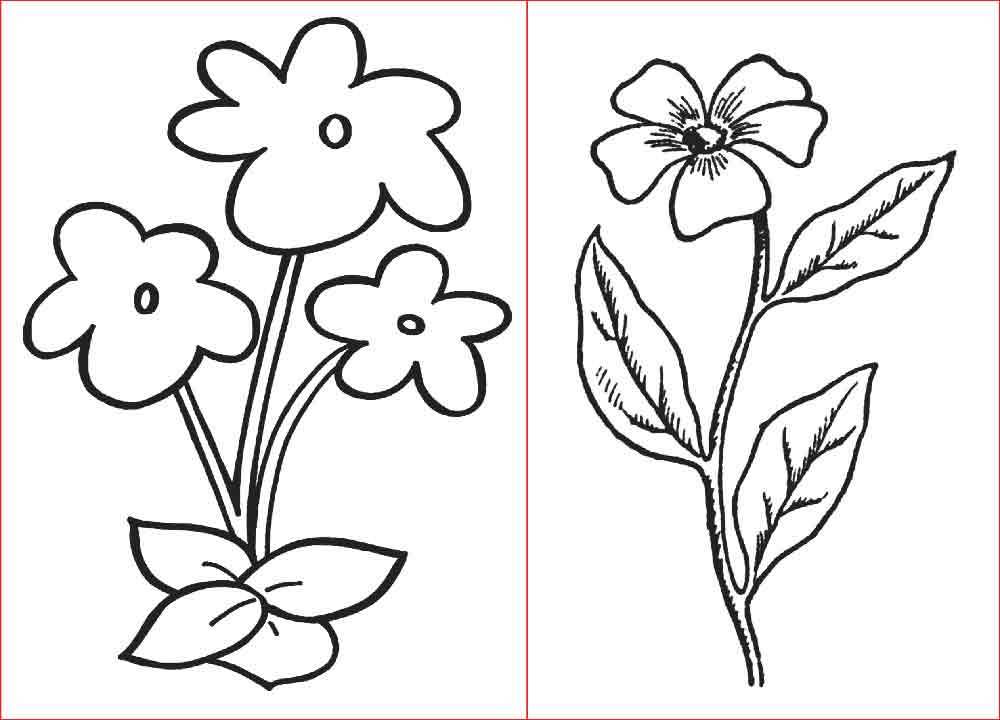 Detail Contoh Gambar Bunga Simpel Nomer 13