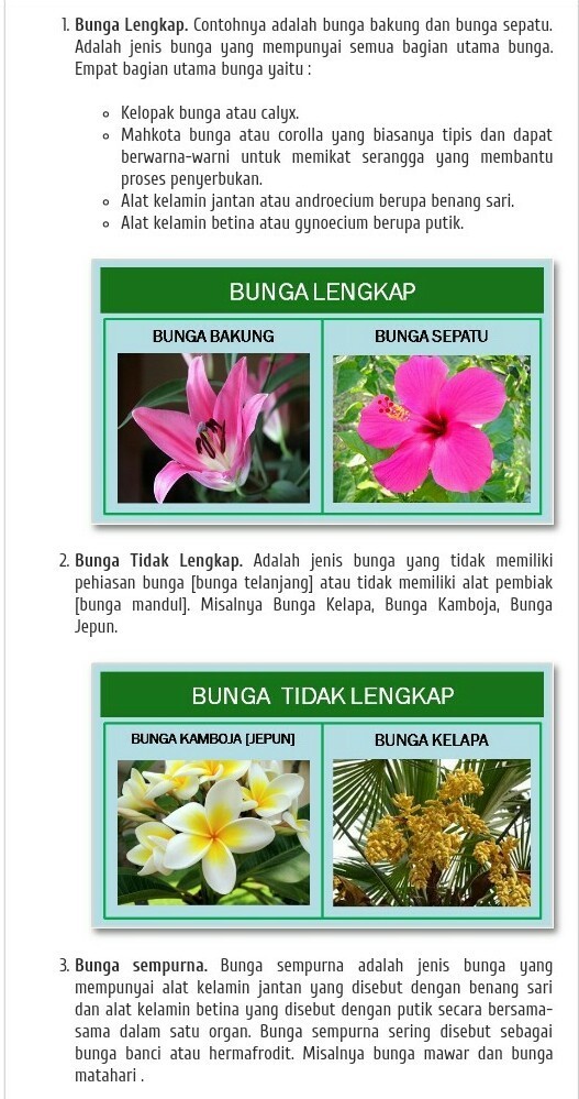 Detail Contoh Gambar Bunga Tidak Lengkap Nomer 49