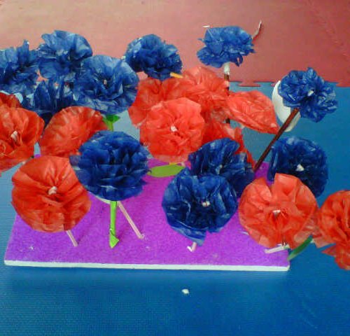 Detail Contoh Gambar Bunga Tulip Dari Kertas Krep Nomer 45