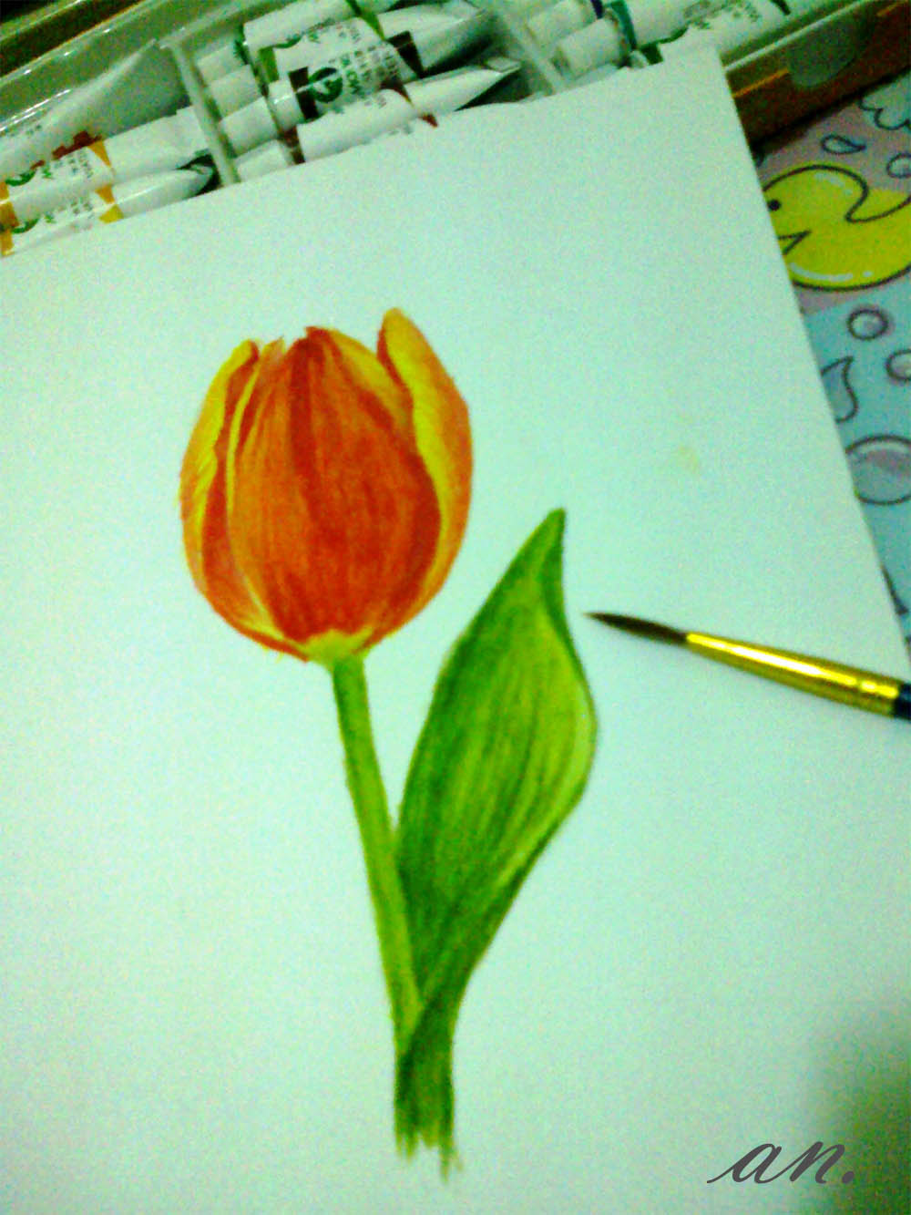 Detail Contoh Gambar Bunga Tulip Yang Mudah Digambar Nomer 23