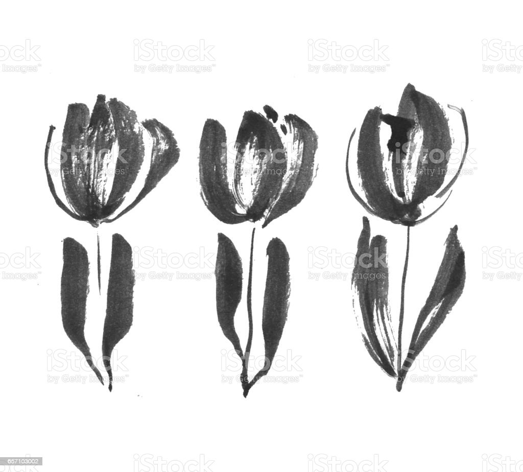 Detail Contoh Gambar Bunga Tulip Yang Mudah Digambar Nomer 37