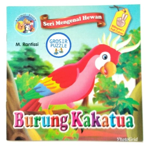 Detail Contoh Gambar Burung Kakatua Nomer 25