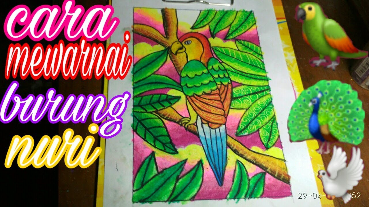 Detail Contoh Gambar Burung Nuri Nomer 41