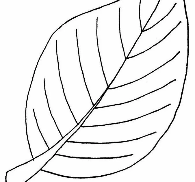 Detail Contoh Gambar Daun Nomer 7