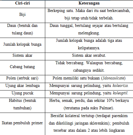 Detail Contoh Gambar Daun Monokotil Nomer 45