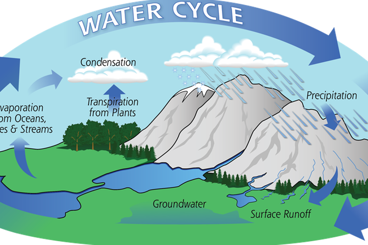 Detail Contoh Gambar Daur Air Nomer 54