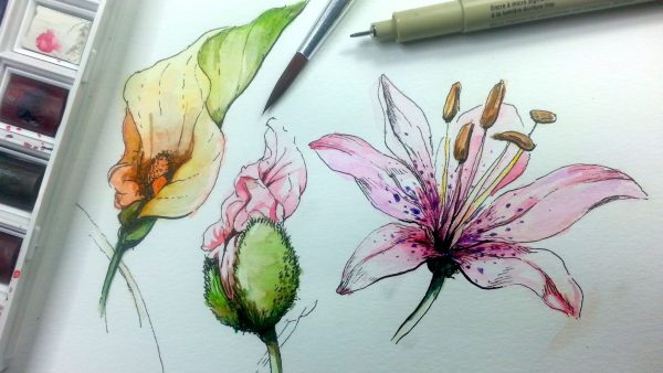 Detail Contoh Gambar Dengan Teknik Aquarel Nomer 29