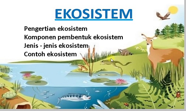 Detail Contoh Gambar Ekosistem Nomer 41