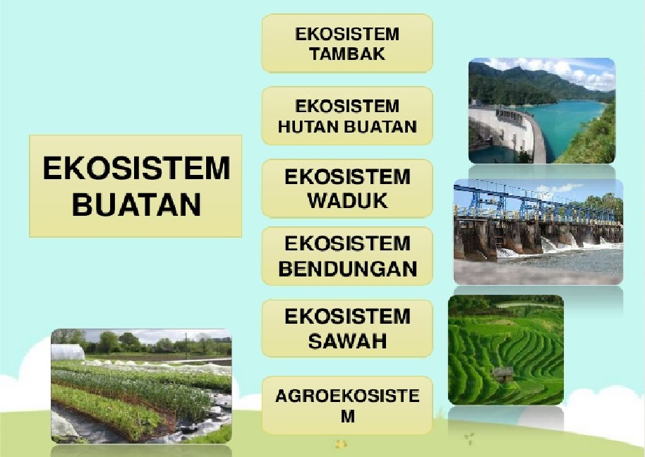 Detail Contoh Gambar Ekosistem Buatan Nomer 41