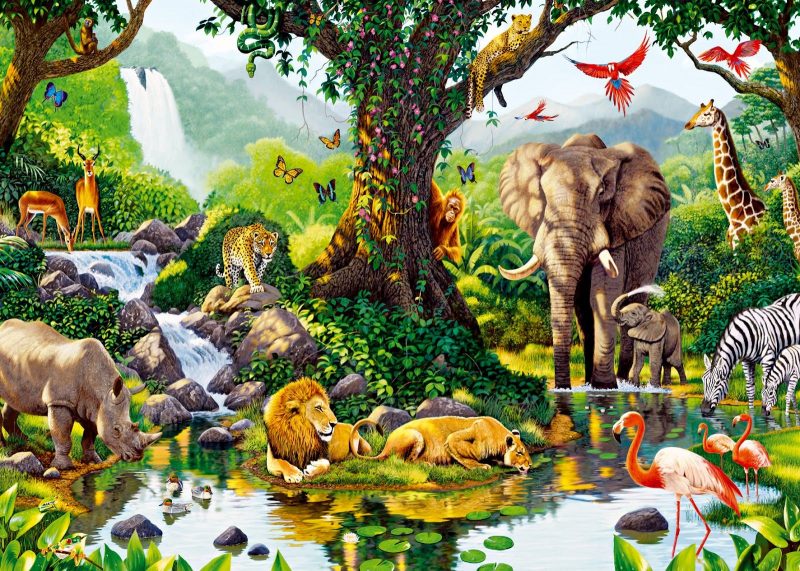 Detail Contoh Gambar Ekosistem Hutan Nomer 14