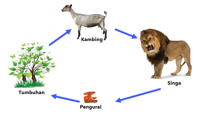 Detail Contoh Gambar Ekosistem Hutan Nomer 16