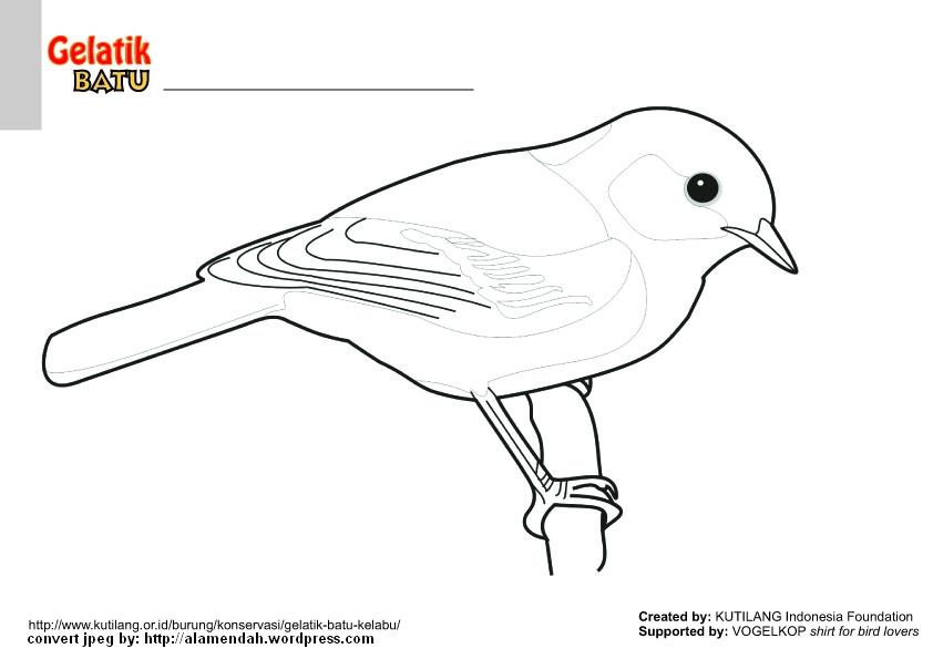 Detail Contoh Gambar Fauna Nomer 39