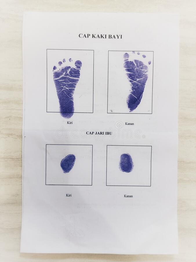 Detail Contoh Gambar Finger Print Nomer 42