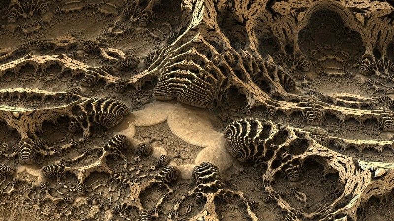 Detail Contoh Gambar Fosil Nomer 10