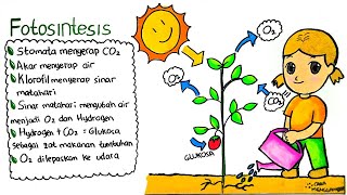 Detail Contoh Gambar Fotosintesis Nomer 36