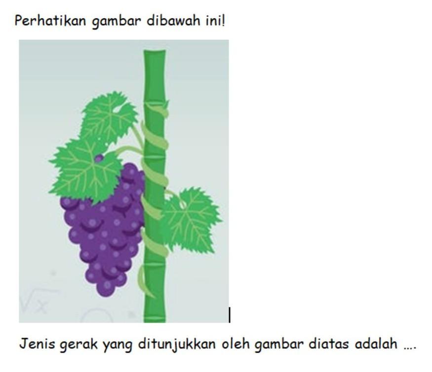 Detail Contoh Gambar Fototropisme Nomer 38