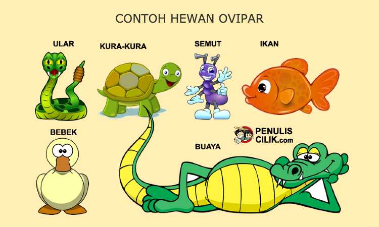 Detail Contoh Gambar Gambar Hewan Nomer 30