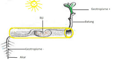 Detail Contoh Gambar Gerak Nomer 52