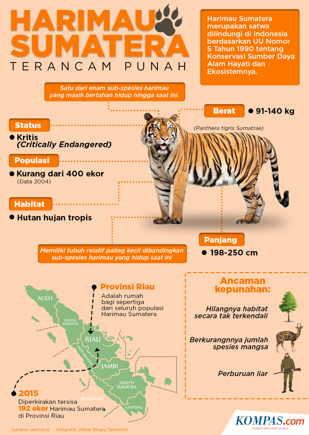 Detail Contoh Gambar Harimau Nomer 46