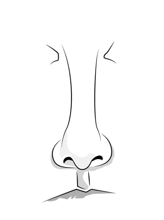 Detail Contoh Gambar Hidung Nomer 19