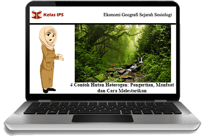 Detail Contoh Gambar Hutan Nomer 44