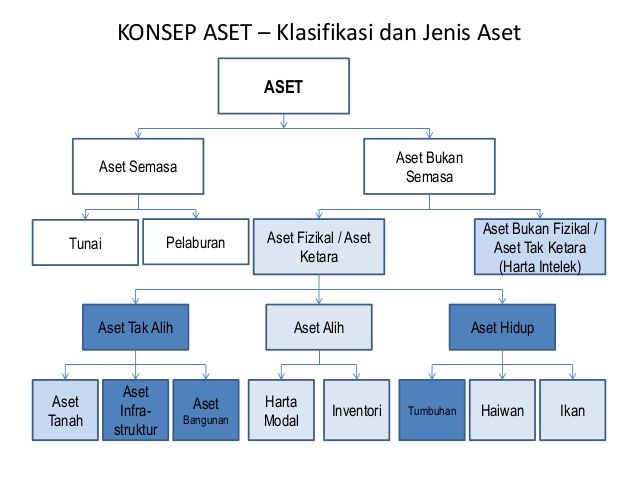 Detail Contoh Gambar Identifikasi Nomer 14