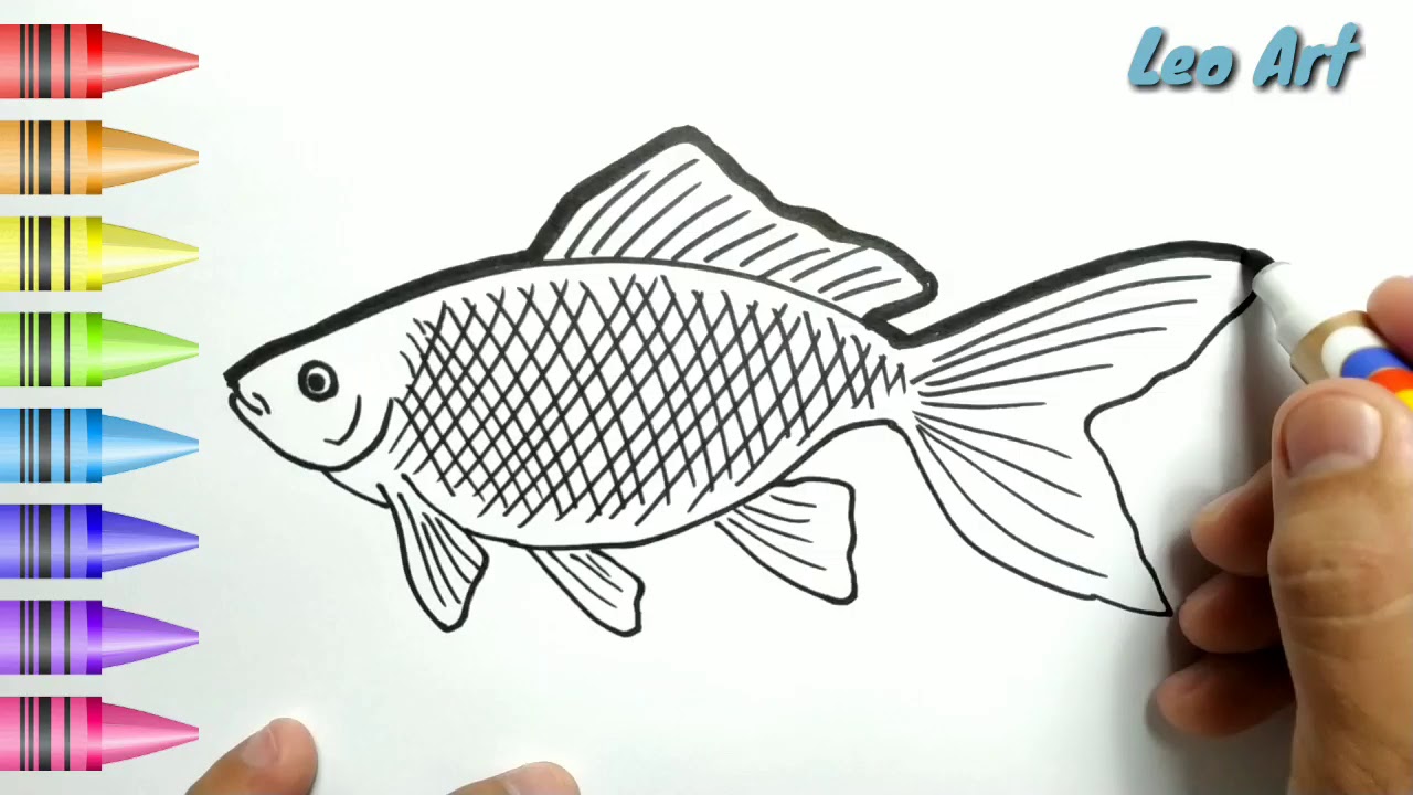 Detail Contoh Gambar Ikan Mas Nomer 9