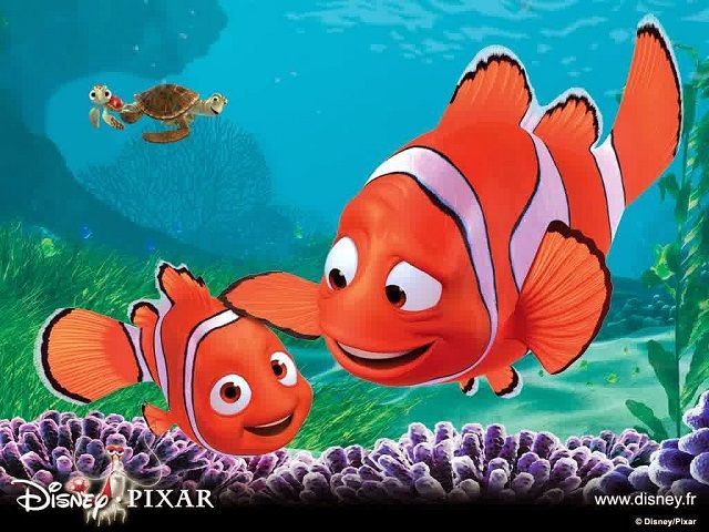 Detail Contoh Gambar Ikan Nemo Nomer 20