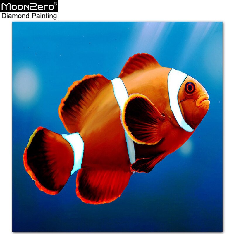 Detail Contoh Gambar Ikan Nemo Nomer 25