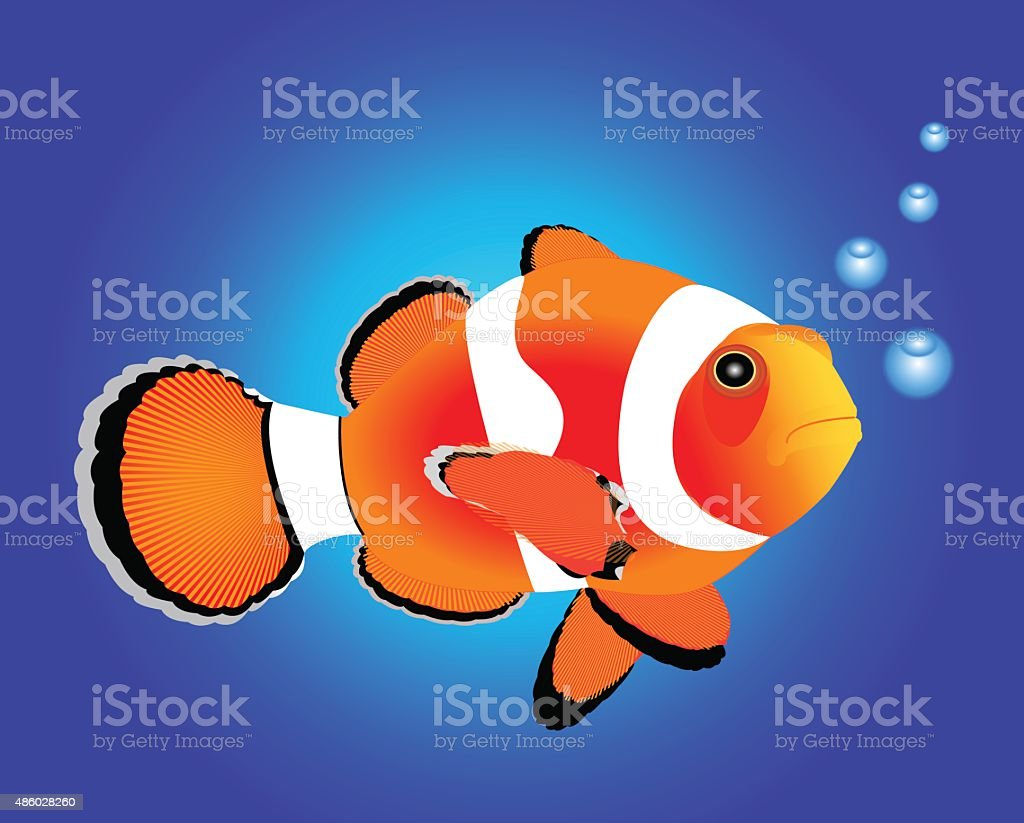 Detail Contoh Gambar Ikan Nemo Nomer 43