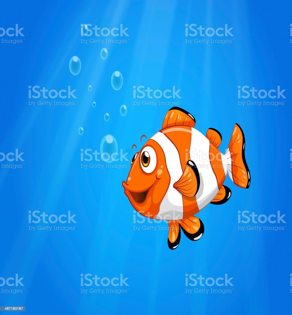 Detail Contoh Gambar Ikan Nemo Nomer 44