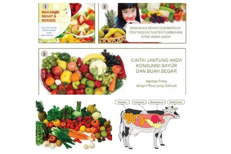 Detail Contoh Gambar Iklan Makanan Sehat Nomer 24