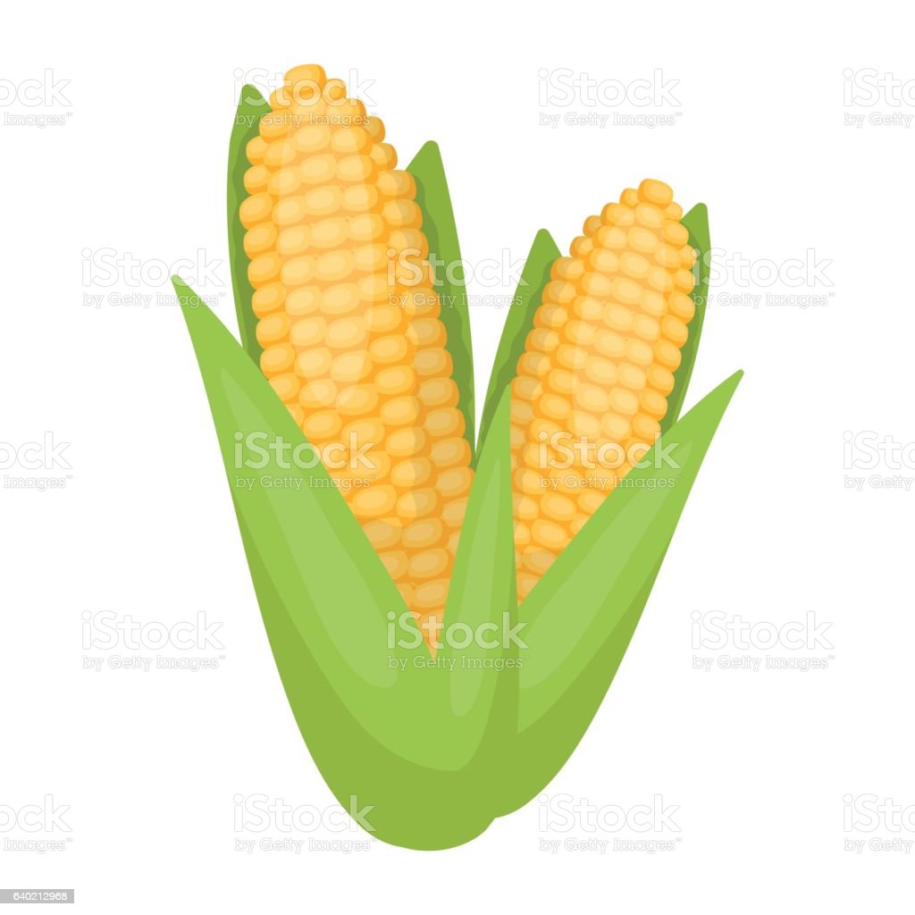 Detail Contoh Gambar Jagung Nomer 8