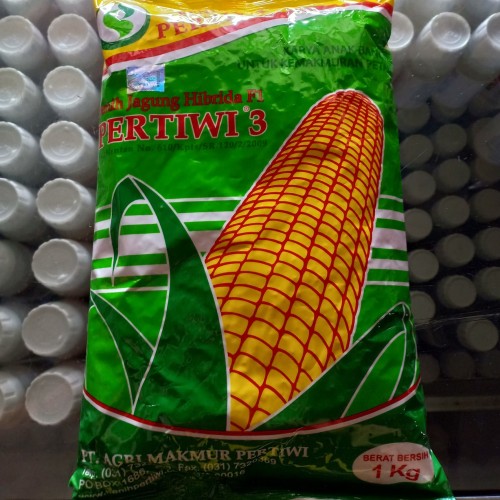 Detail Contoh Gambar Jagung Nomer 45