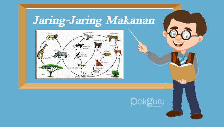 Detail Contoh Gambar Jaring Jaring Makanan Nomer 34