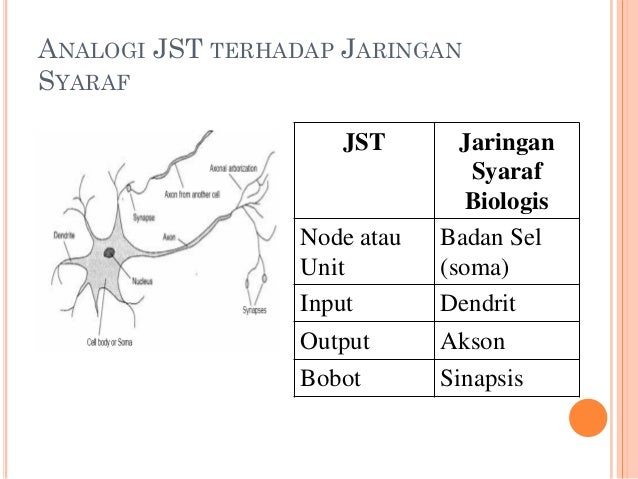 Detail Contoh Gambar Jaringan Nomer 33