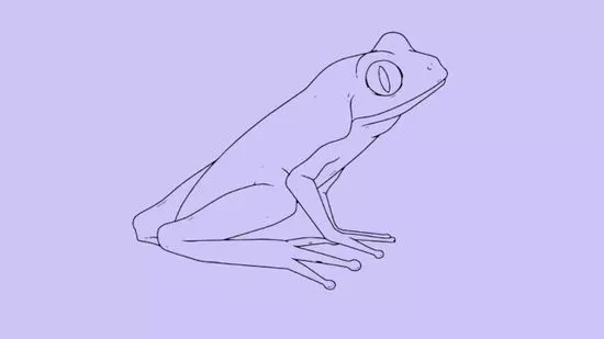Detail Contoh Gambar Katak Nomer 9