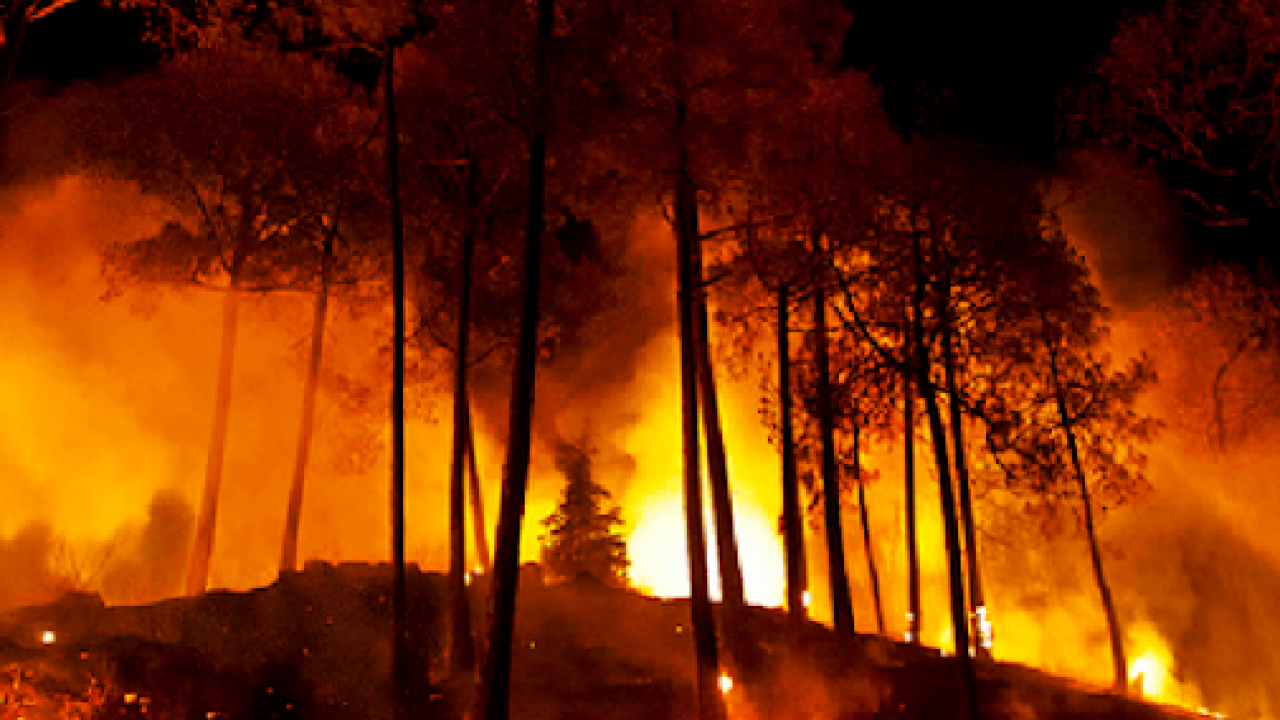 Detail Contoh Gambar Kebakaran Hutan Nomer 14