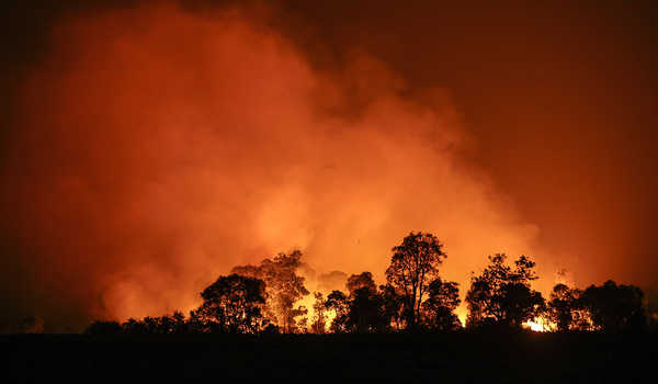 Detail Contoh Gambar Kebakaran Hutan Nomer 38