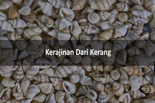 Detail Contoh Gambar Kerang Nomer 34